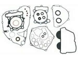 Dichtungssatz komplett inkl. Wellendichtringe Moose...