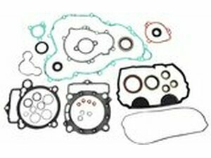 Dichtungssatz komplett inkl. Wellendichtringe Moose...