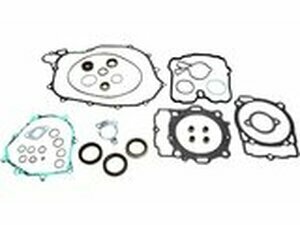 Dichtungssatz komplett inkl. Wellendichtringe Moose...