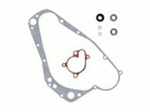 Reparatur- / Wartungskit Wasserpumpe Moose Racing RM 250...