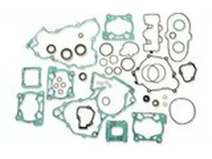 Dichtungssatz komplett inkl. Wellendichtringe Moose...