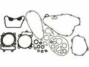 Dichtungssatz komplett inkl. Wellendichtringe Moose...