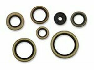 Wellendichtringe Kit komplett Moose Racing SX 250 / TE 300