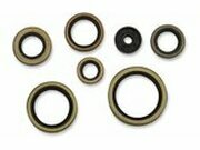 Wellendichtringe Kit komplett Moose Racing SX 250 / TE 300