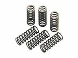 Kupplungsfedern Moose Racing KXF 250