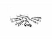 Bremsbelagbolzen CRF 250/450