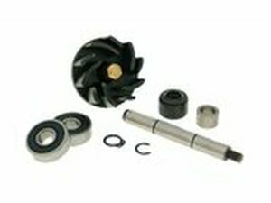 Reparaturkit Wasserpumpe Gilera Runner / Italjet Dragster...