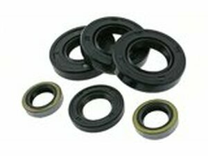 Wellendichtringsatz kompletter Motor 6 Stck Derbi EBE / EBS