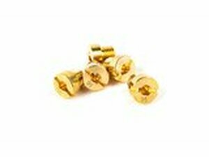 Hauptdsenset 98 (x5) Typ DellOrto 6mm