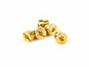 Hauptdsenset 98 (x5) Typ DellOrto 6mm