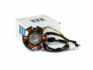 Lichtmaschine ohne Rotor 80W (Ducati) AM6 / Derbi