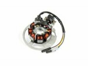 Lichtmaschine / Stator Typ 1 CPI / Keeway / China 2-Takt