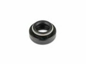 Wellendichtring Wasserpumpe 10x18x8mm AM6