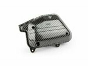 Luftfilterkasten Yamaha BWs / Slider bis 2004 Carbon Look