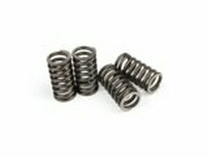 Kupplungsfedern Originalersatz AM6