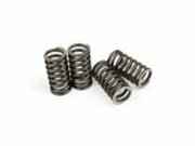 Kupplungsfedern Originalersatz AM6