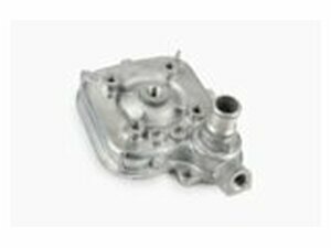 Zylinderkopf Motoforce 50ccm Peugeot LC