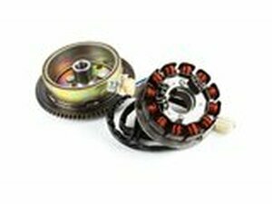 Lichtmaschine komplett AM6 Power Up 12 Spulen (Moric)