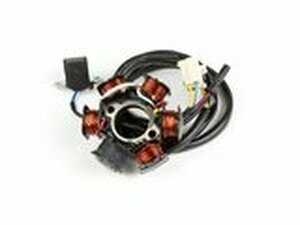 Lichtmaschine / Zndung Peugeot stehend