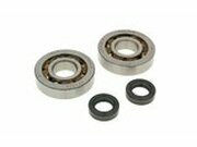 Kurbelwellenlager Satz fr Peugeot Fox 50 1994-1998