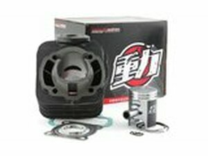 Zylinder Kit Naraku Peformance Standard  50cc, Kymco...