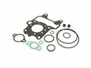Zylinder Dichtungssatz Honda Zoomer / Ruckus NPS 50,...