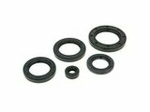 Wellendichtringsatz Motor fr Honda Pantheon 125-150 LC...