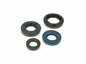Wellendichtringsatz Motor fr PGO neu