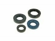 Wellendichtringsatz Motor fr PGO neu