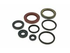 Wellendichtringsatz Motor fr Suzuki AN Burgman 250...