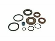 Wellendichtringsatz Motor fr Gilera Runner, Malaguti...