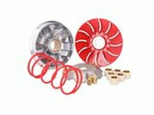 Variomatik Naraku Maxi-Speed Piaggio Fly / Liberty / Vespa Primavera / Sprint / LX / S 125i / 150i 3V