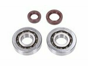 Kurbelwellenlager HD und Wellendichtringe FKM Naraku...