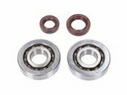 Kurbelwellenlager HD und Wellendichtringe FKM Naraku...