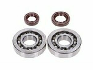 Kurbelwellenlager HD and Wellendichtringe FKM Naraku...