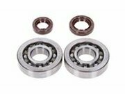 Kurbelwellenlager HD and Wellendichtringe FKM Naraku...