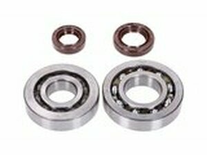 Kurbelwellenlager HD + Wellendichtringe Naraku Kymco /...