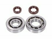 Kurbelwellenlager HD + Wellendichtringe Naraku Kymco /...