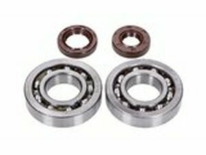 Kurbelwellenlager HD und Wellendichtringe FKM Naraku...