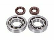 Kurbelwellenlager HD und Wellendichtringe FKM Naraku...