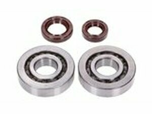 Kurbelwellenlager HD and Wellendichtringe FKM Naraku...