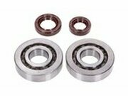 Kurbelwellenlager HD and Wellendichtringe FKM Naraku...