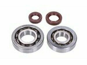 Kurbelwellenlager HD und Wellendichtringe FKM Naraku...