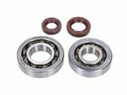 Kurbelwellenlager HD und Wellendichtringe FKM Naraku...