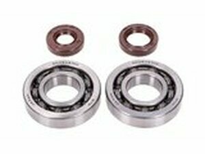 Kurbelwellenlager HD und Wellendichtringe FKM Naraku...