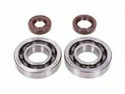 Kurbelwellenlager HD und Wellendichtringe FKM Naraku...