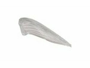 Blinkerglas hinten rechts Jetforce C-Tech