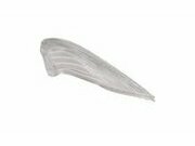 Blinkerglas hinten rechts Jetforce C-Tech