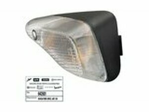 Blinker vorne rechts original NRG Power DD ab 2007