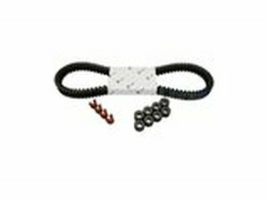 Wartungskit Variomatik Piaggio MP3 Business / Sport 500cc